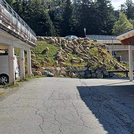 Hotel apartamentowy L'ecrin Des Neiges Chamrousse
