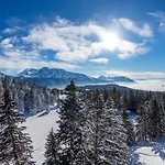 L'ecrin Des Neiges 3* Chamrousse