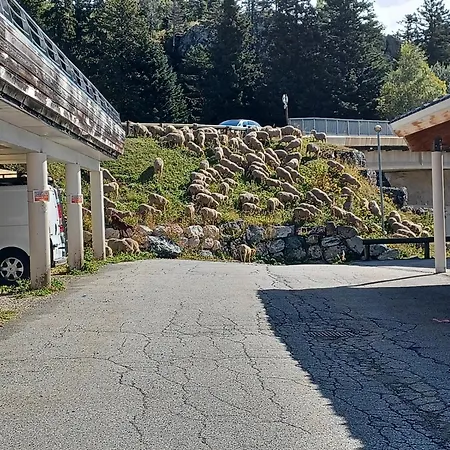 Aparthotel L'ecrin Des Neiges Chamrousse
