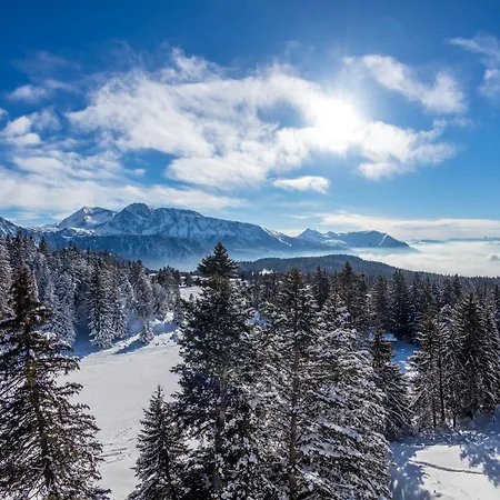 L'ecrin Des Neiges 3* Chamrousse