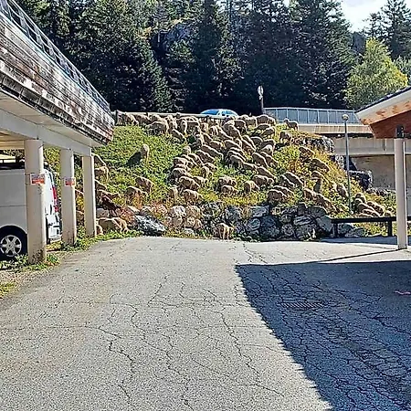 L'ecrin Des Neiges Hotel apartamentowy Chamrousse