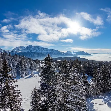 L'ecrin Des Neiges 3* Chamrousse